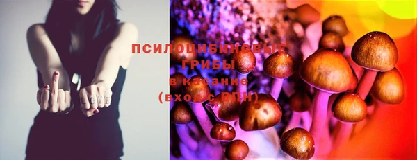 бошки Алексин