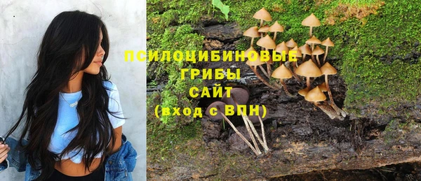 герыч Алзамай